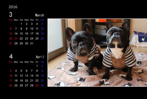 3月4月
