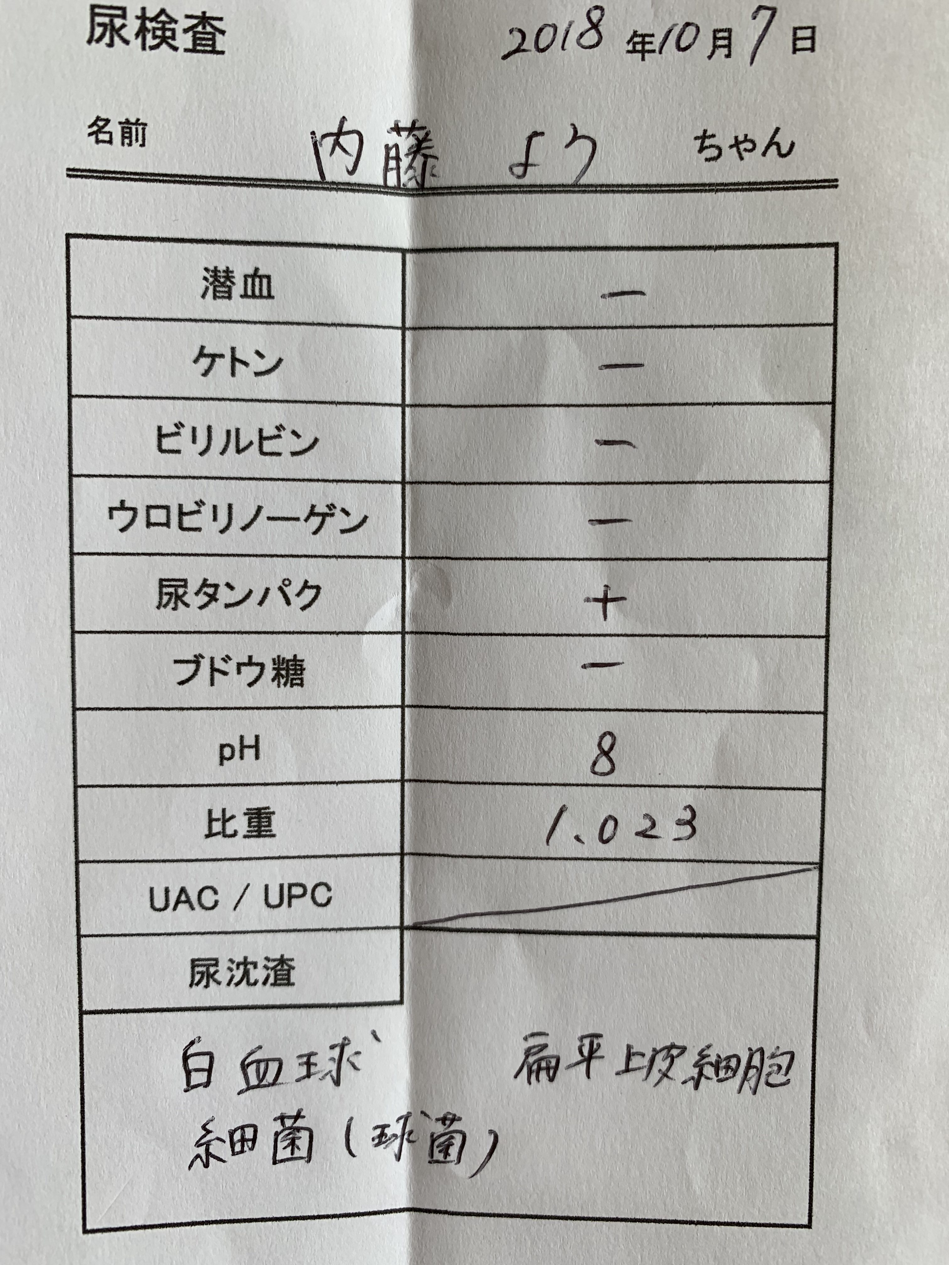 時 尿 ない 検査 出