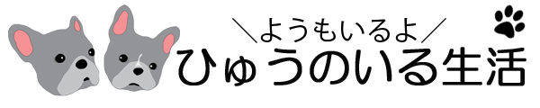 ひゅうのいる生活