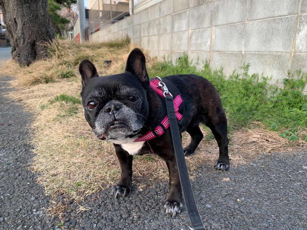 よう