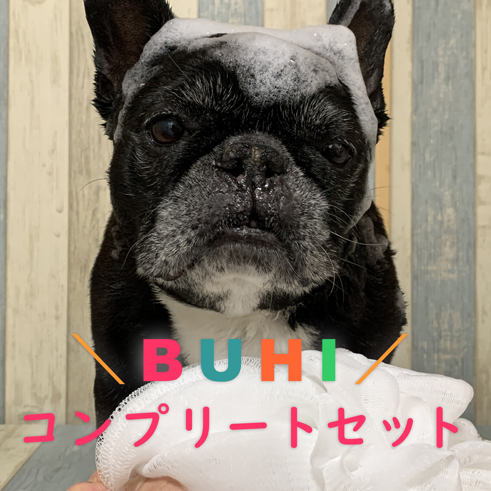 BUHIコンプリートセット