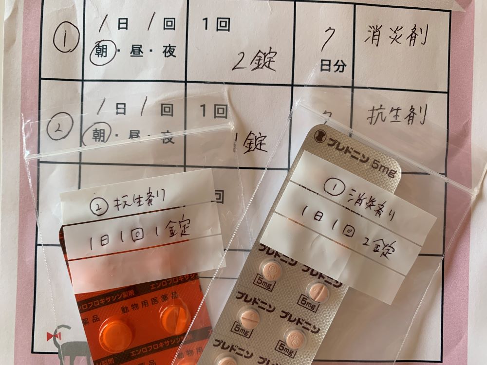消炎剤と抗生剤
