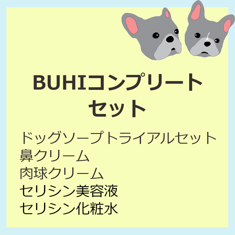 BUHIコンプリートセット