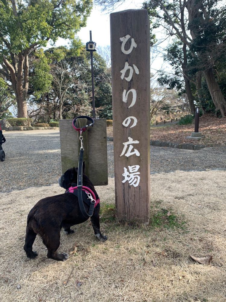 ひかりの広場