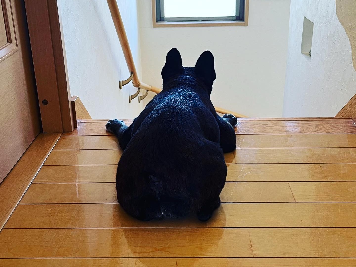 よう