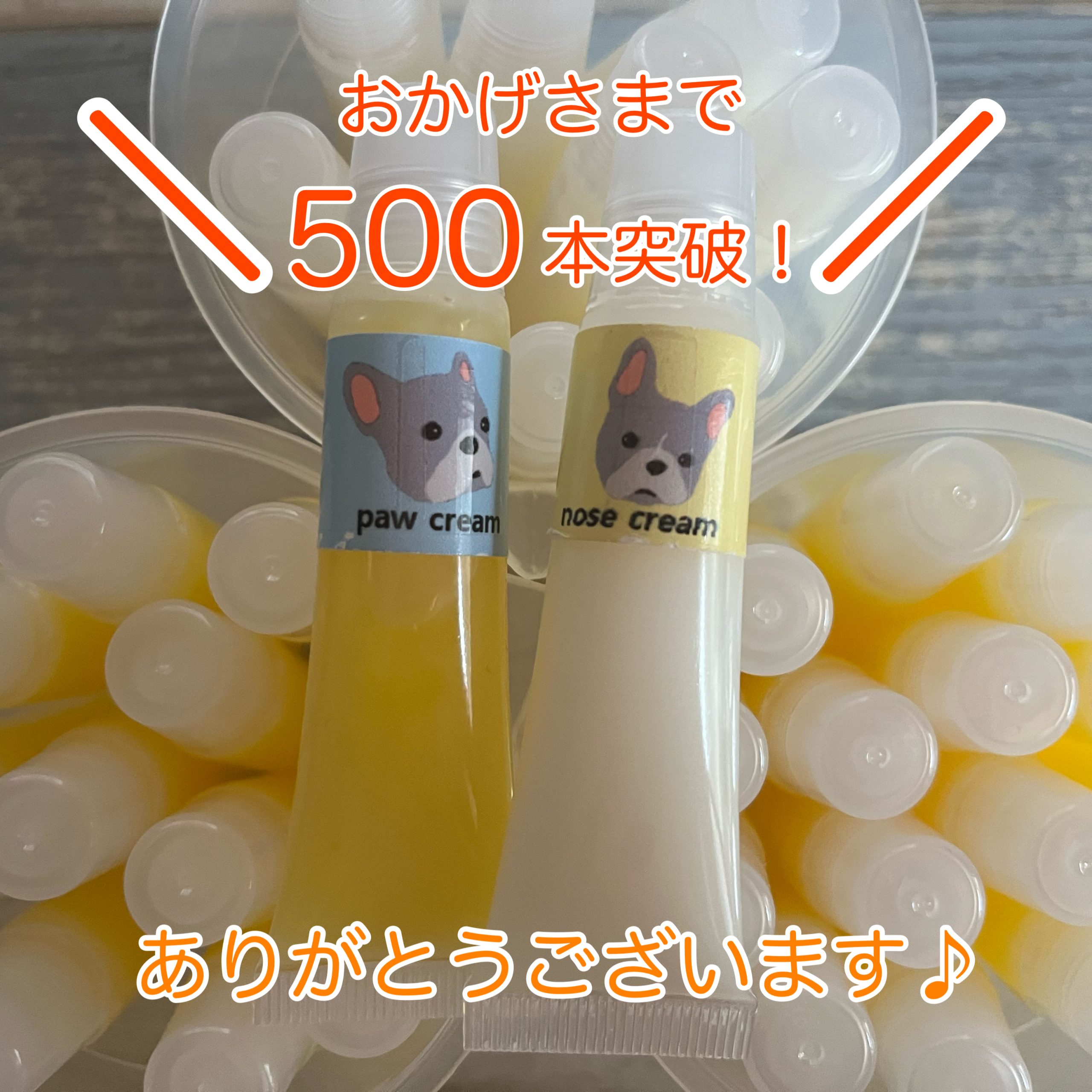 500本突破