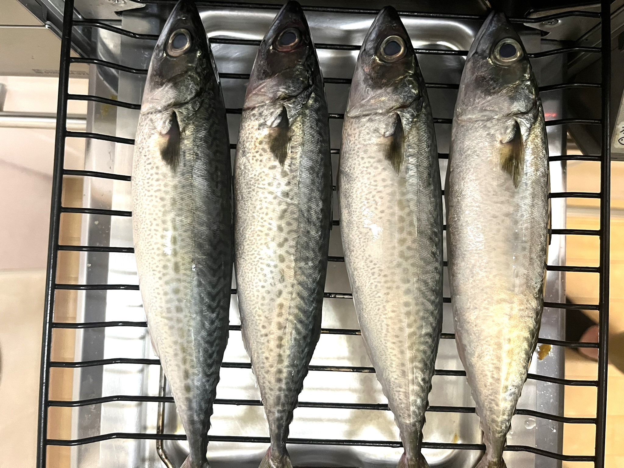 鯖