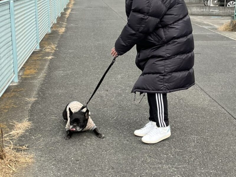 八朔