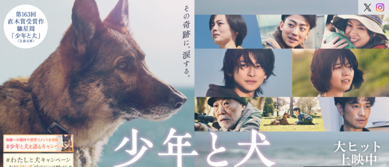犬と少年