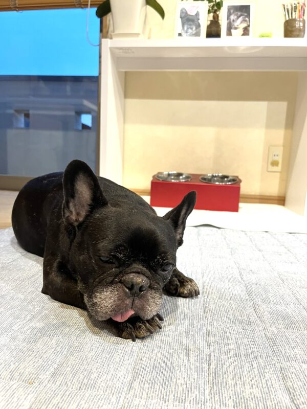 八朔