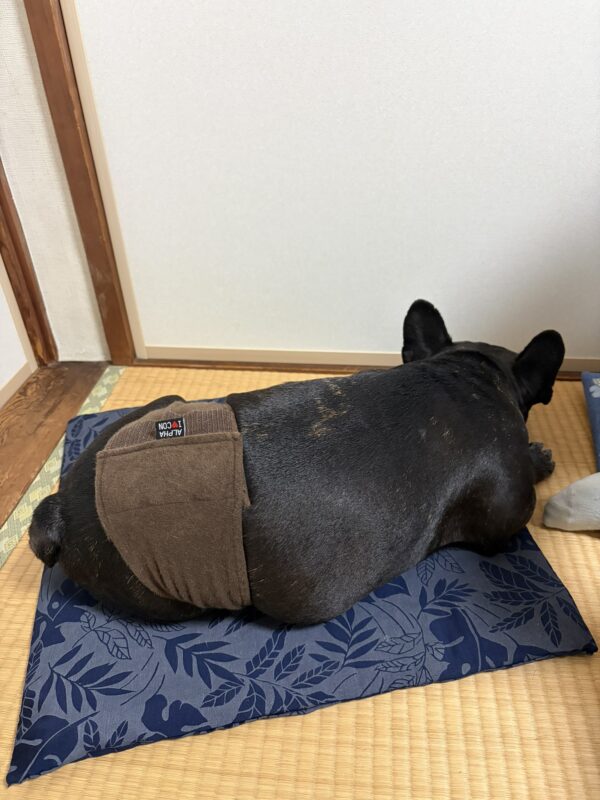 八朔