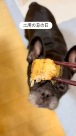 はじめての白焼き
時間差でおいしさを感じるはっちゃん

#土用の丑の日
#白焼きたべた